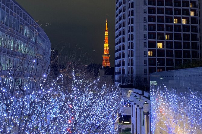 Private Custom Tour: Tokyo in a Day - Asakusa: Temples, Street Life, and Easy Tokyo Photo Energy