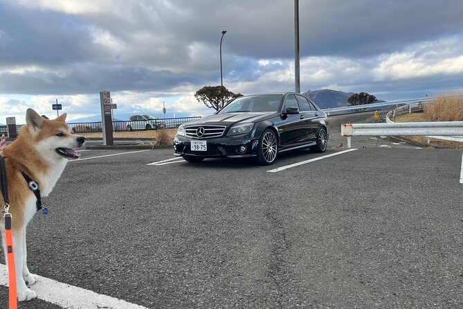 Private Daikoku Parking Area, Hakone turn Pike, Umihotaru Tours - Daikoku Parking Area, the custom car scene you actually want to see