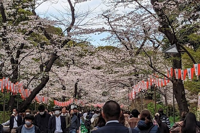 Private Day Tour In Tokyo with a Native English Speaker - Your English and Japanese Guide, Plus Pickup Within 7 km