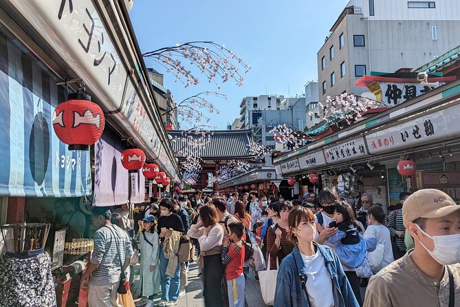 Private Day Tour In Tokyo with a Native English Speaker - Akihabara for Electronics and Anime: Where the Interests Get Real