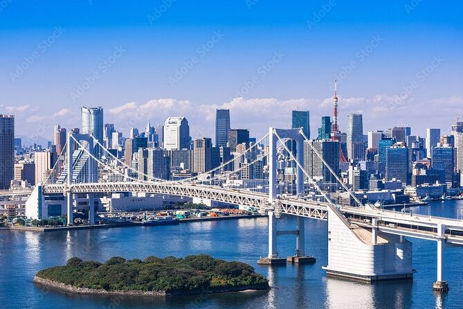 Private Day Tour in Tokyo with Government-Licensed Guide - Price and value: what you pay, what you might add, what you actually get