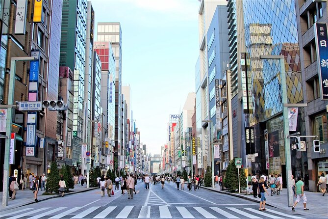 Private Departure Tour from Hotel/Airport/Cruise (5-6 Hrs) - Pickup, luggage storage, and drop-off without the Tokyo stress