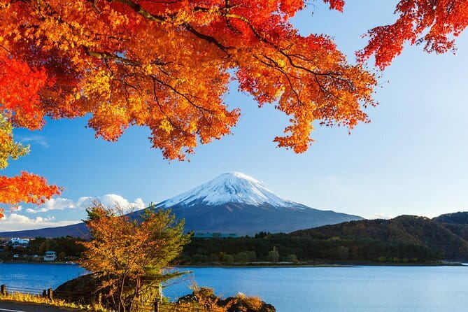 Private Fuji Full-day Car Tour with Hotel Pickup -Local Guide - The Tasting Stops: Sake, Craft Beer, and Wine