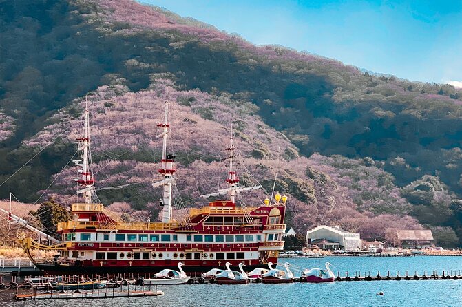 Private Fuji Hakone Tour Charter with English Speaking Driver - Why this private Fuji Hakone tour works better than DIY