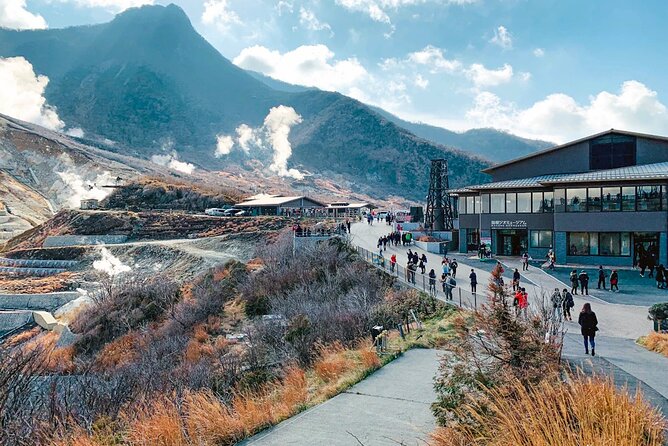 Private Fuji Hakone Tour Charter with English Speaking Driver - From Tokyo pickup to Hakone Jinja: the easiest way to start right