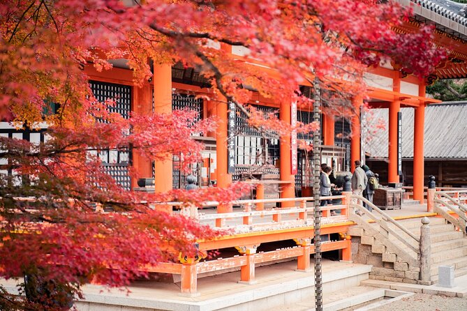 Private Full-Day Kamakura-Enoshima Tour with Bilingual Driver - The 10-hour reality check: how to pace a temple and beach day