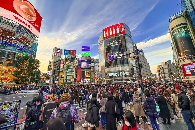 Private Full-day Tokyo Walking Subway Tour by Japan Gray Line - Key things that make this Tokyo subway tour work