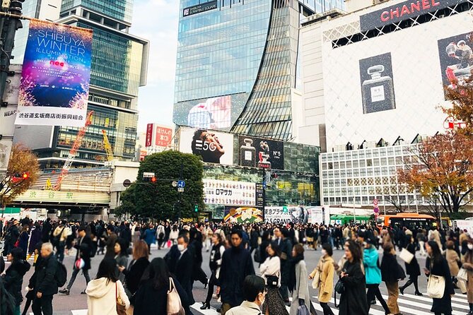 Private Full-day Tokyo Walking Subway Tour by Japan Gray Line - Tsukiji Outer Market, street food and seafood-focused Tokyo