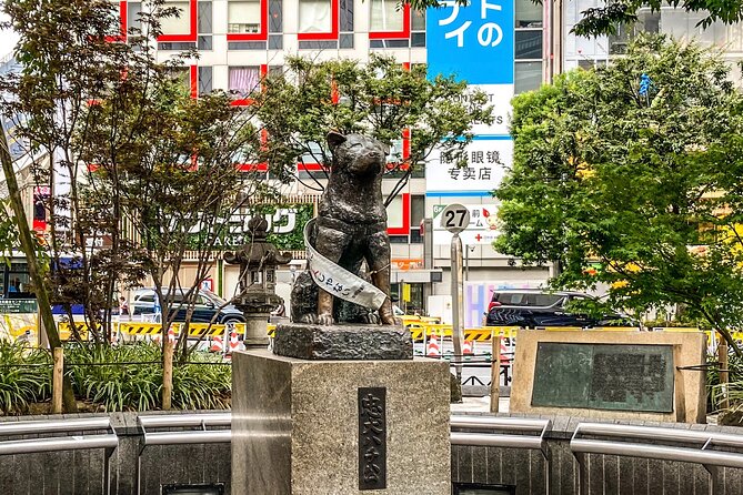 Private Full-day Tokyo Walking Subway Tour by Japan Gray Line - Walking outdoors in Tokyo, what to expect and how to prepare