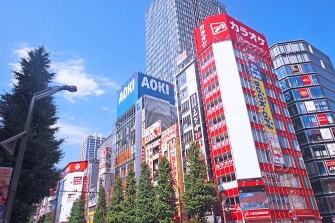 Private Full-Day Tour of Tokyo with Hotel Pickup - Ryogoku for Sumo Culture: Beyond the Arena