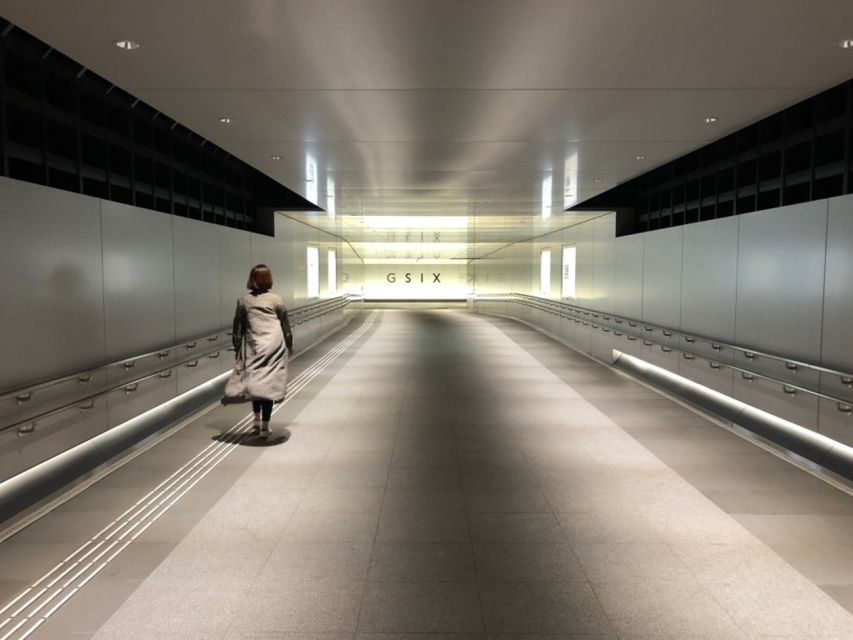Private Ginza Architecture Tour - Price and value: why $129 can be fair for architecture focus