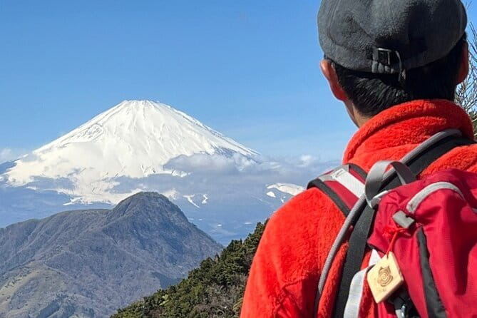 Private Hakone Half-day Car Tour with Hotel Pickup - Local Guide - Lake Ashi and the Fuji-view angle