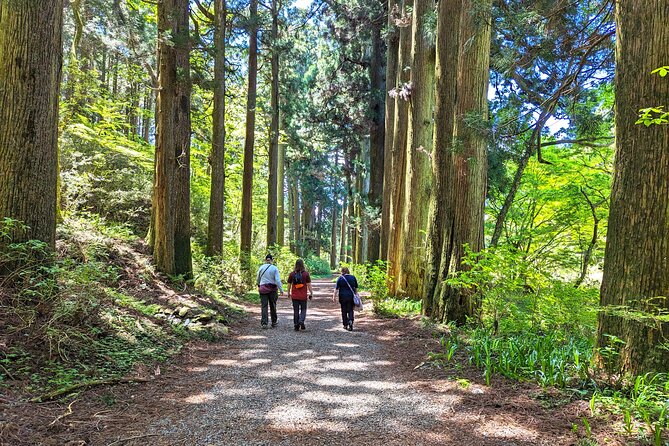 Private Hakone Tour - View of Mt. Fuji, Nature and Culture - Why a Private Hakone Day From Tokyo Makes Sense