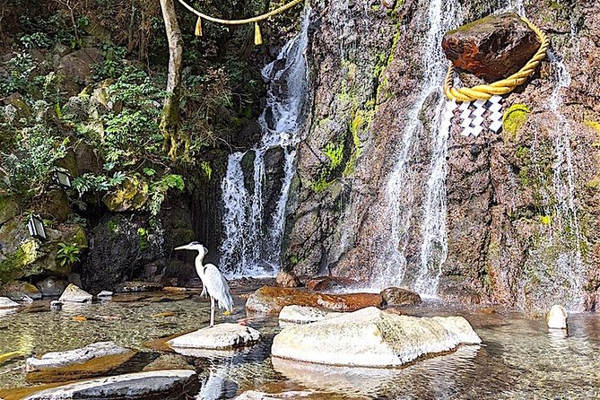 Private Hakone Tour - View of Mt. Fuji, Nature and Culture - Owakudani Valley, Sulfur Fumes, and the Black Eggs