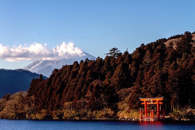 Private Hakone Tour - View of Mt. Fuji, Nature and Culture - Getting There Smoothly: Hotel Pickup and Shinkansen to Odawara