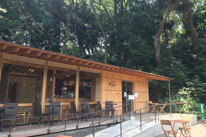 Private Harajuku Omotesando Architecture Walking Tour - Price and what you actually get for $132.14