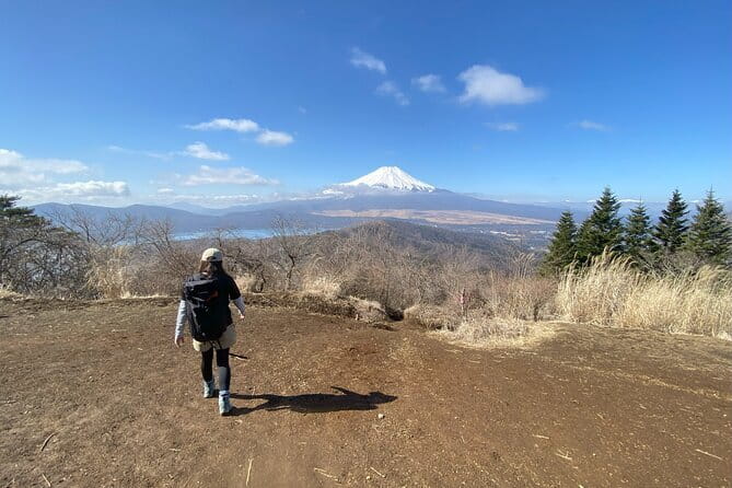 Private Hiking Tour to View Mt. Fuji - Stairs, shrines, and views: what this private Fuji hike really is