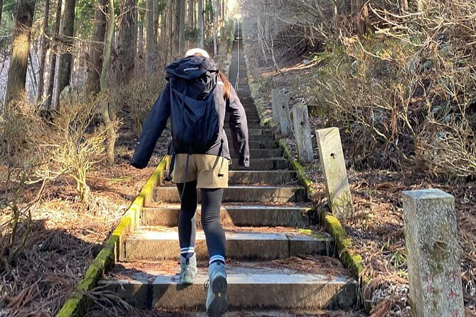 Private Hiking Tour to View Mt. Fuji - What makes the top moments worth the effort