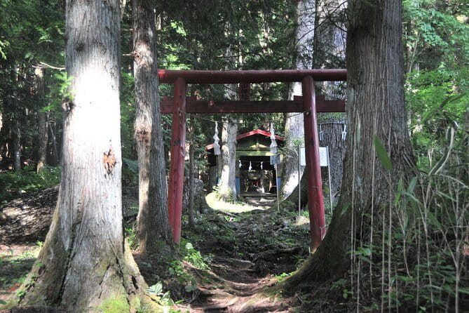 Private Hiking Tour to View Mt. Fuji - Menkyo-kaiden lunch: local Yoshida udon and cash planning