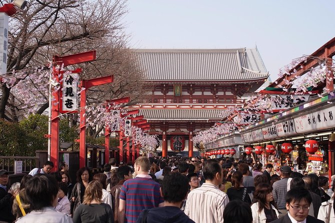 Private Japanese Sample Food Making and Asakusa History Tour - Kappabashi Street (Kitchen Town) Shopping With Craft in Your Head
