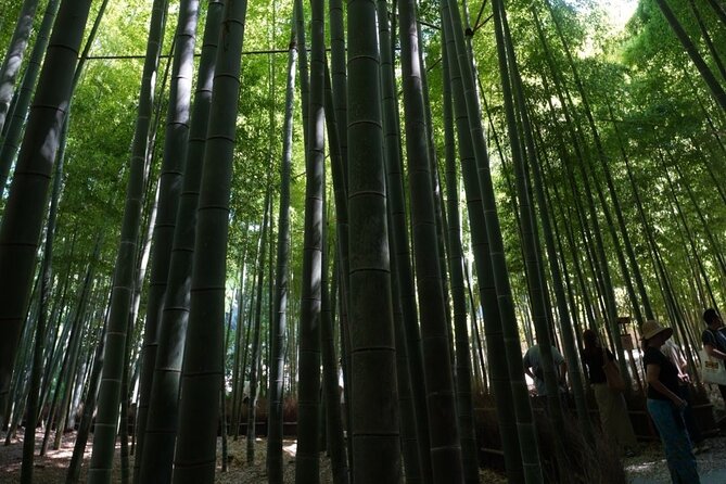 Private Kamakura Early Morning Tour (Tokyo Departure Available) - Stop 3: Hōkokuji Bamboo Temple and a Calm That Hits Fast