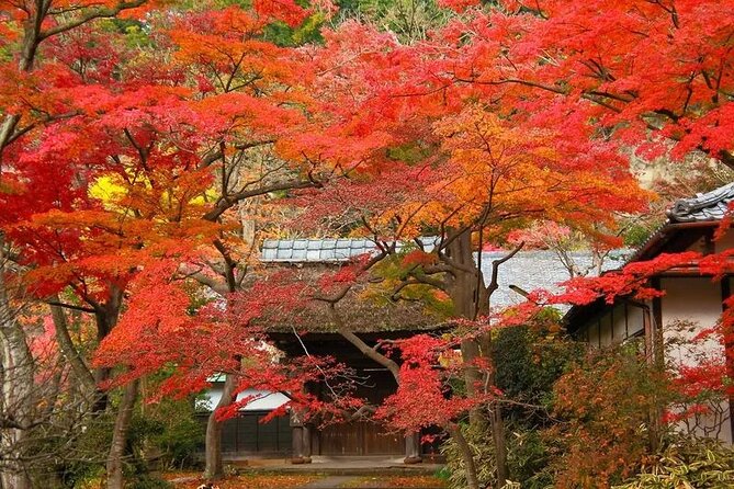 Private Kimono photo shooting tour in ancient city Kamakura - Daigyoji Temple: A Quiet Photo Start Beside Kamakura Station