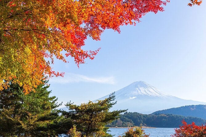 Private Mount Fuji and Hakone City Tour In luxury car from Tokyo - Shiraito Falls: a quick, free waterfall break with big photo payoff