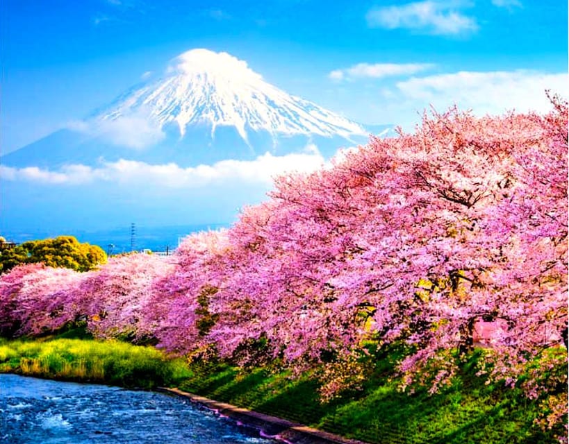 Private Mount Fuji sightseeing Day trip with English Guide - Mt. Fuji 5th Station (Komitake Baiten) for about one hour