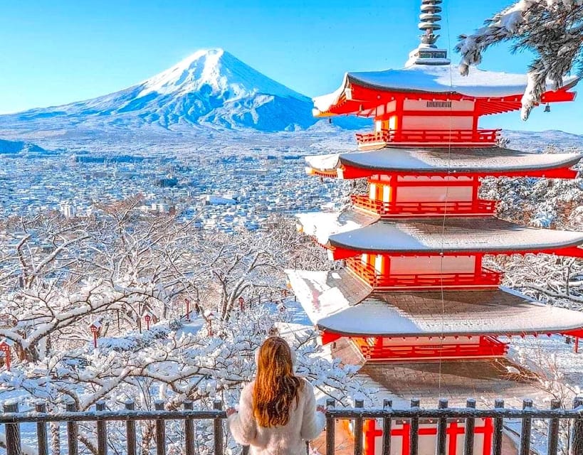 Private Mount Fuji sightseeing Day trip with English Guide - Optional add-ons like Narasawa Ice Cave and speed boat time