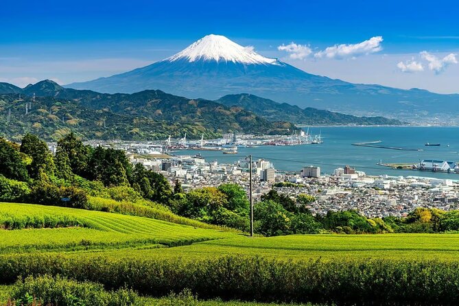 Private Mount Fuji Tour in Luxury Vehicle with English Guide - Arakurayama Sengen Park and the Chureito Pagoda photo climb