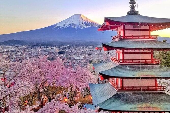 Private Mount Fuji Tour in Luxury Vehicle with English Guide - Oshino Hakkai ponds for calm water and a quieter rhythm