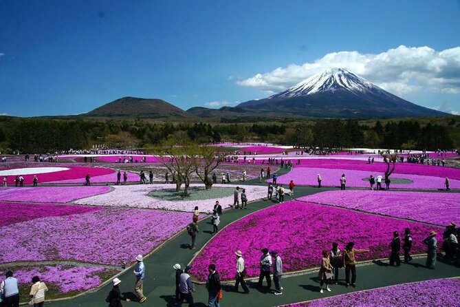 Private Mount Fuji Tour in Luxury Vehicle with English Guide - Your luxury vehicle, Wi-Fi, and the guide who keeps the day moving