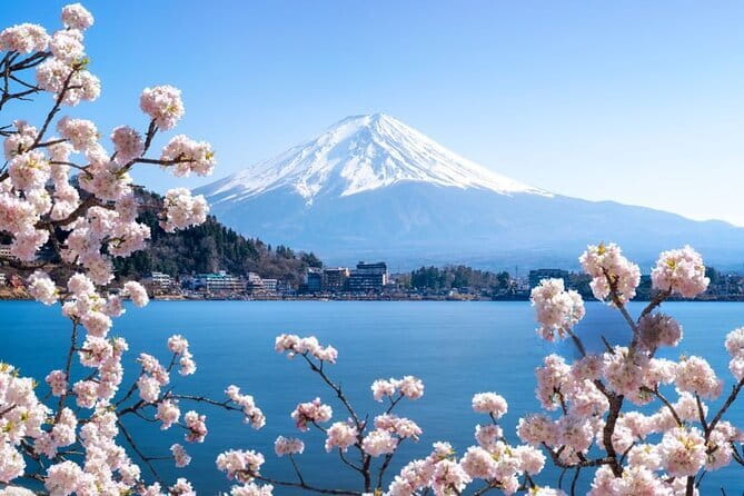 Private Mount Fuji Tours with Car Pickup from Tokyo - Saiko Iyashi no Sato Nemba and Oishi Park: Old Japan and the Best-Frame Feeling