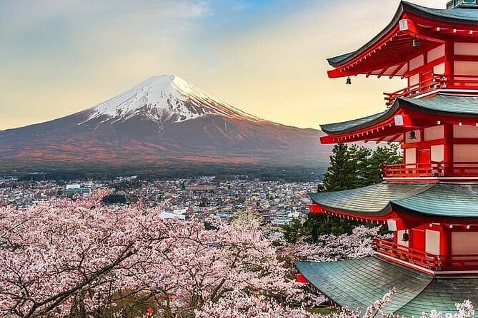 Private Mount Fuji Tours with Car Pickup from Tokyo - The Guided Trek Toward Yoshida Trail 7th Station