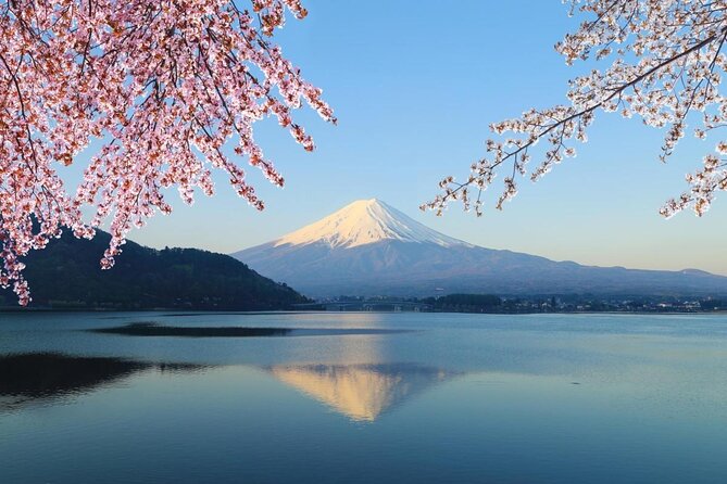 Private Mt. Fuji Custom Tour from Tokyo - Key Details You Should Clock Before You Go