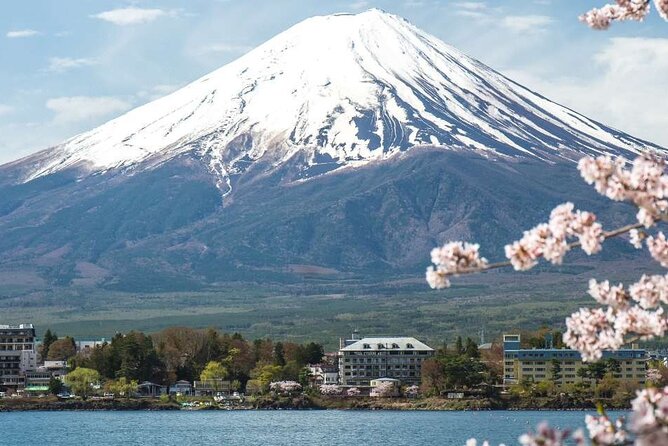 Private Mt. Fuji Custom Tour from Tokyo - How This Custom Fuji Day Works From Tokyo