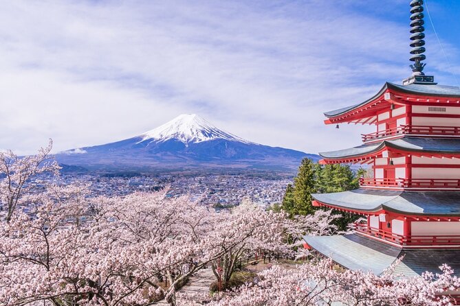 Private Mt. Fuji Custom Tour from Tokyo - Stop 1: Mt. Fuji View Time, and How to Make It Count