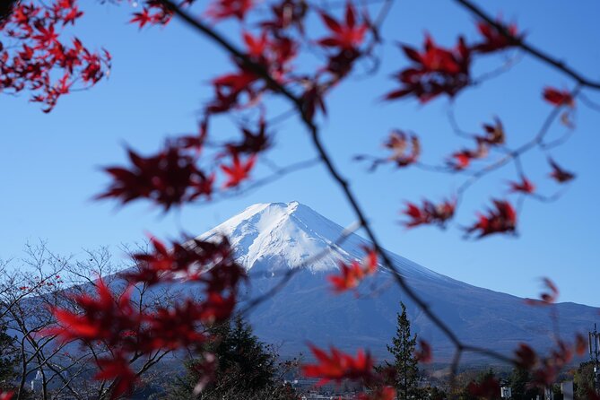 Private Mt. Fuji Day Trip from Tokyo with English-Speaking Driver - Stop 1: Oshino Hakkai and the Eight Spring Ponds