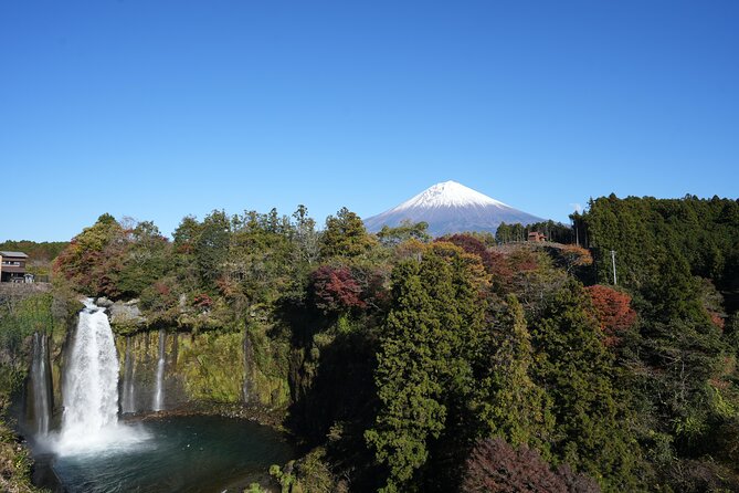 Private Mt. Fuji Day Trip from Tokyo with English-Speaking Driver - Stop 4: Mt. Fuji Panoramic Ropeway (Kachi-Kachi) and Its Real Cost