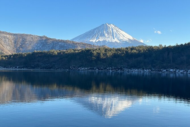 Private Mt. Fuji Day Trip from Tokyo with English-Speaking Driver - Stop 5: Oishi Park for Seasonal Color and Lake Views
