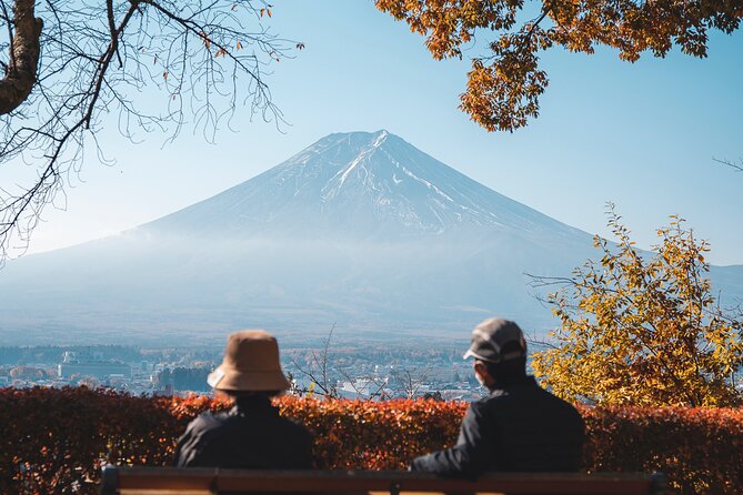 Private Mt Fuji, Hakone and Tokyo Tour - English Speaking Driver - Timing from Shinjuku: a 7:00 am start and a realistic 10 hours