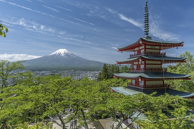 Private Mt Fuji, Hakone and Tokyo Tour - English Speaking Driver - Mt. Fuji Panoramic Ropeway near Lake Kawaguchiko