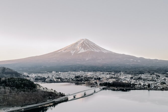 Private Mt Fuji, Hakone and Tokyo Tour - English Speaking Driver - Owakudani Valley: black eggs and sulfur views