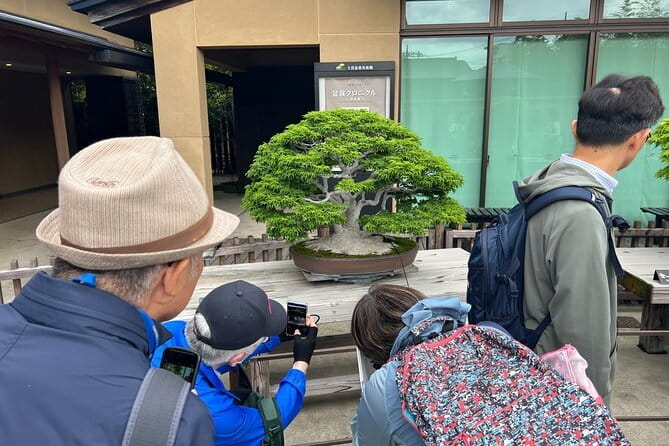 Private Omiya Bonsai Village Tour with Licensed Guide - The Licensed Guide Advantage, From Questions to Helpful Details