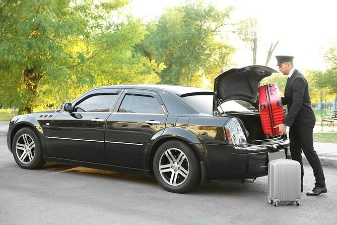 Private One-way Transfer Narita Airport To Tokyo - Who This Transfer Suits Best