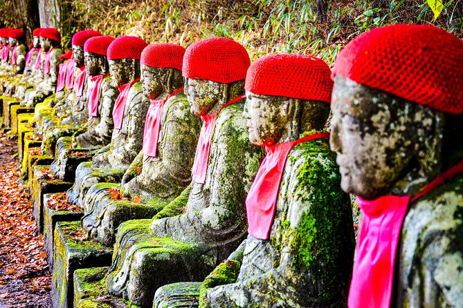 Private Outstanding Nikko Tour with English Speaking Driver - Nikko In One Long Day: What You Can Actually See From Tokyo