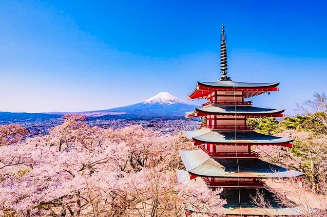 Private Sightseeing to Mt Fuji and Hakone with English Driver - What makes this tour worth your time