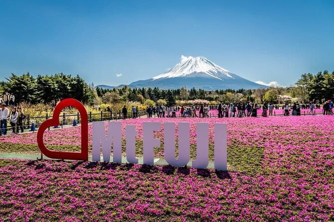 Private Sightseeing to Mt Fuji and Hakone with English Driver - English-driver value: what you gain besides translation