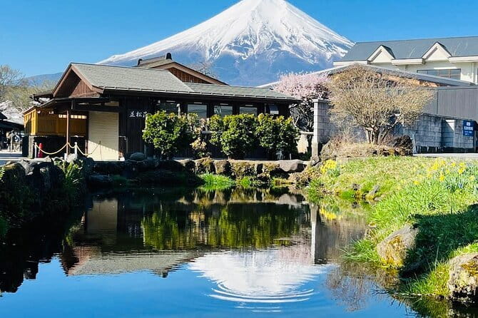Private Sightseeing to Mt Fuji and Hakone with English Driver - Oshino Hakkai springs: clear water, heritage vibes, and winter drama