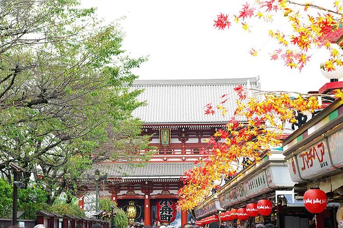 Private Tokyo Custom Full-Day Tour by Chartered Vehicle - Harajuku Station and Takeshita Street: Pop Culture on Schedule